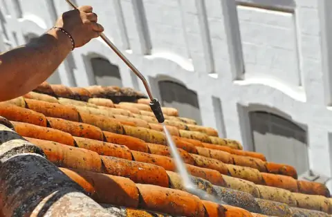 Nettoyage de toitures - Bray-sur-Seine